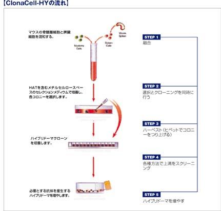 03800_workflow.jpg