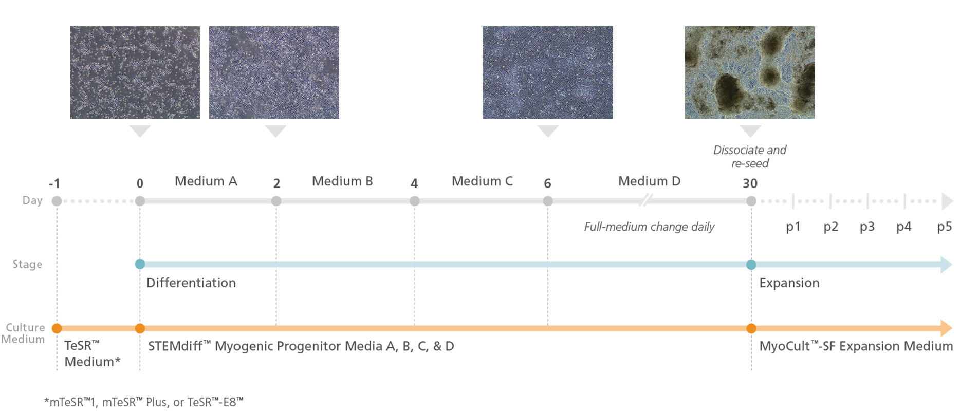 100-0151-Fig1.jpg