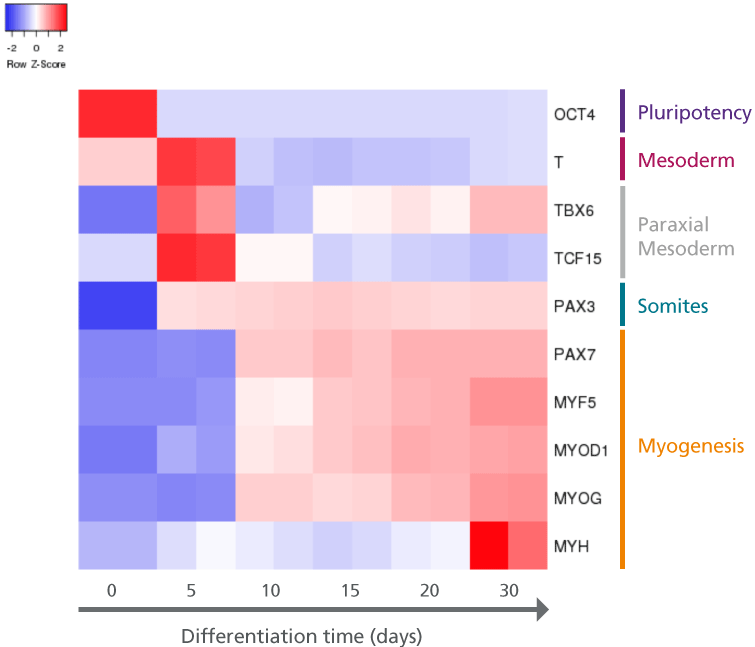 100-0151-Fig2.png