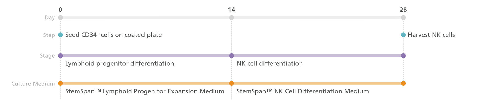 100-0170-Fig3.jpg