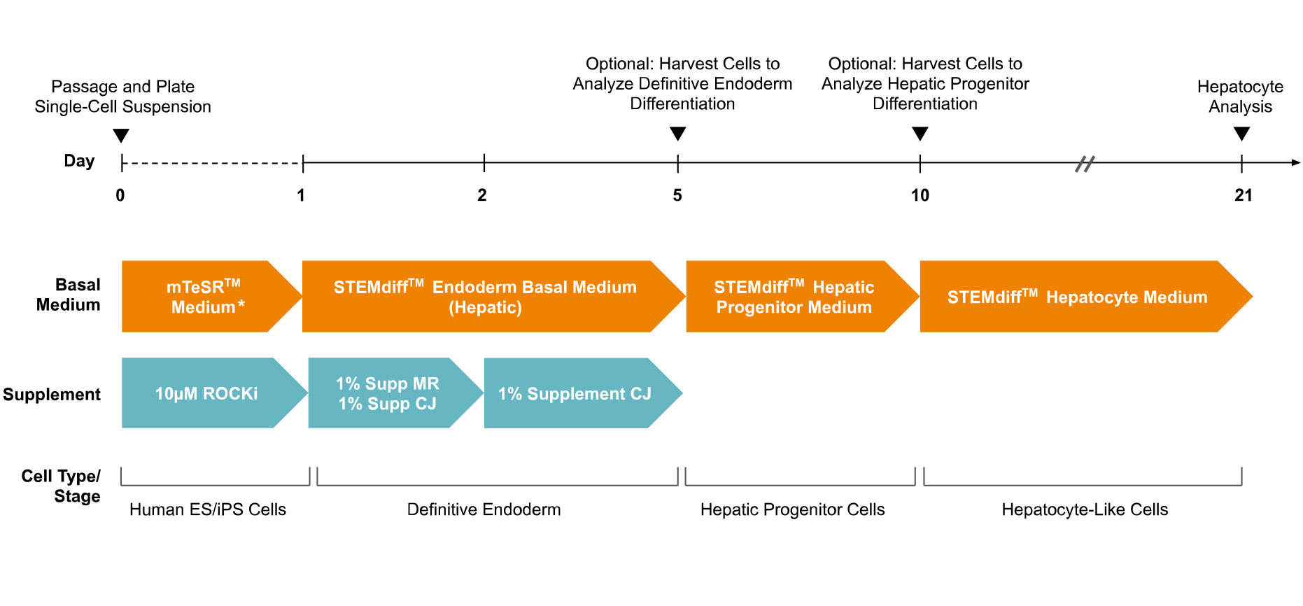 100-0520-Fig1.jpg