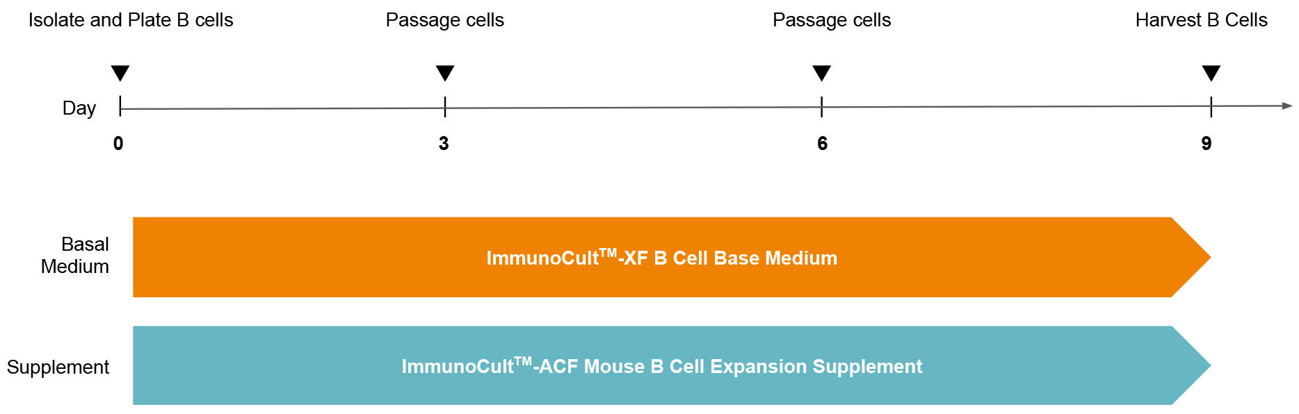 100-1003-Fig1.jpg