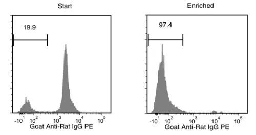 19868_fig.jpg