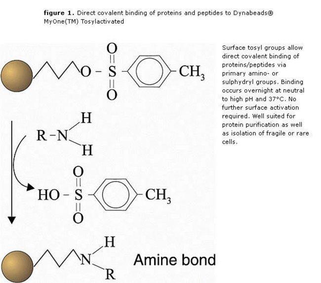 DB65501_Reaction.jpg