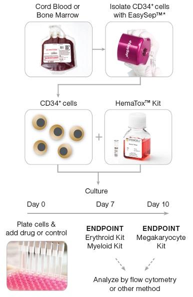 HemaTox_workflow[1].jpg