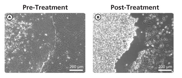 ST-05872_ReLeSR_Fig1.jpg