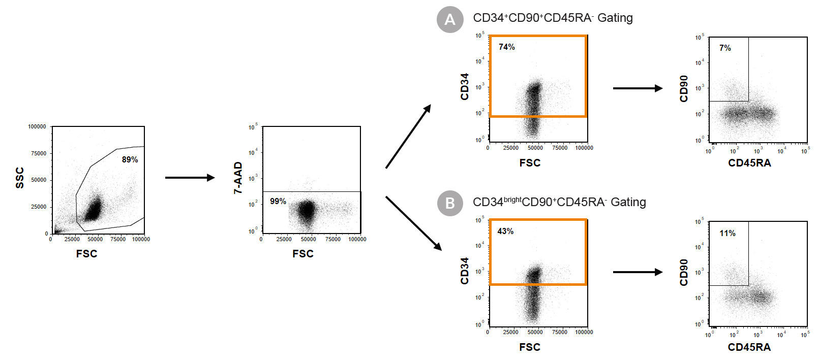 WEBLP298HSPC-StemSpan-Figure1.jpg