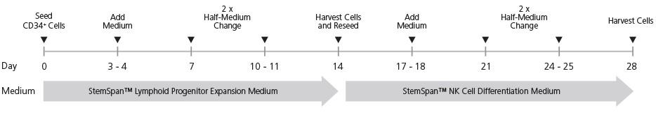 StemSpan™ NK Cell Generatio.jpg