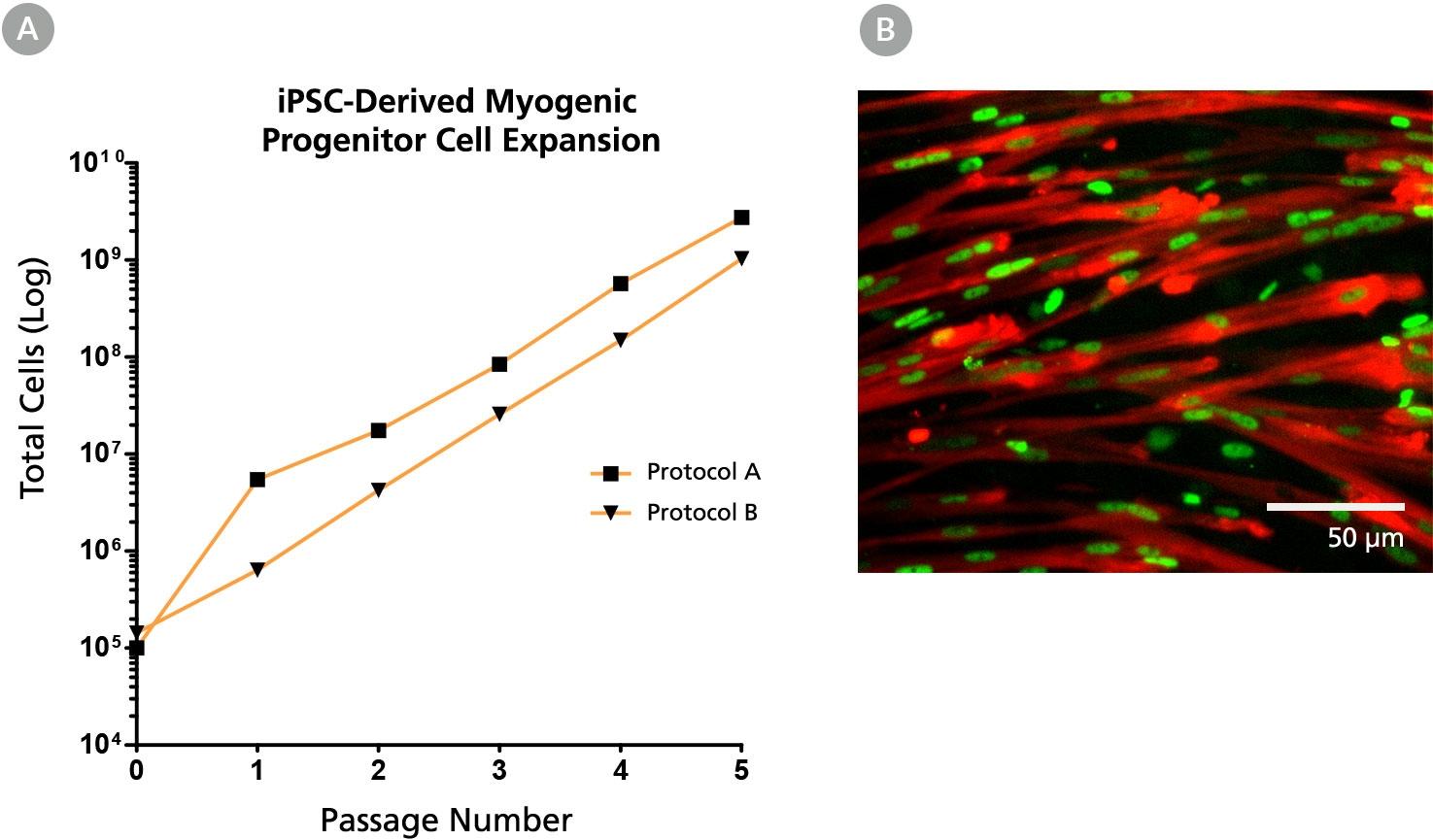 fig5-test.jpg