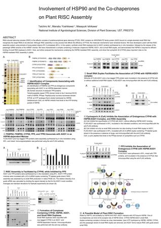 Involvement of HSP90 and the Co-chaperones on Plant RISC Assembly (16th Annual Meeting of the RNA Society).jpg