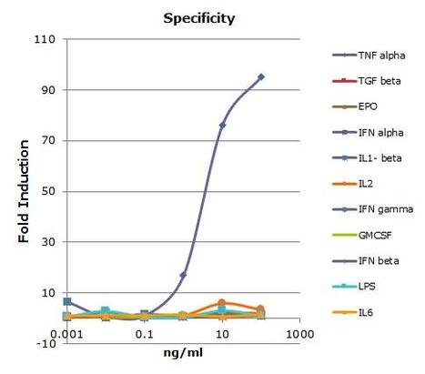 iLite_TNF_data1.jpg