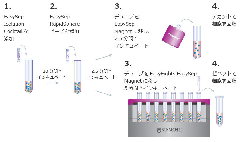 0684_EasySep_Mouse_RapidSphere_strartegy.jpg