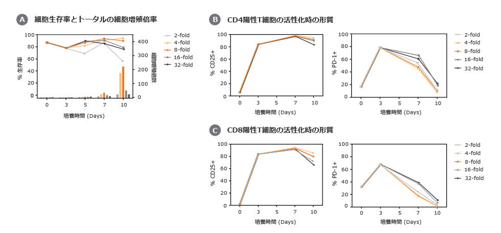 ヒトT細胞増殖プロトコールの最適化：増殖初期での細胞希釈の効果について2-1.jpg