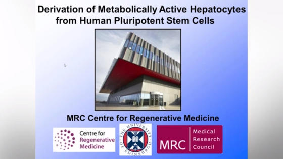 DerivationofMetabolicallyActiveHepatocytesfromHumanPluripotentStemCells.jpg