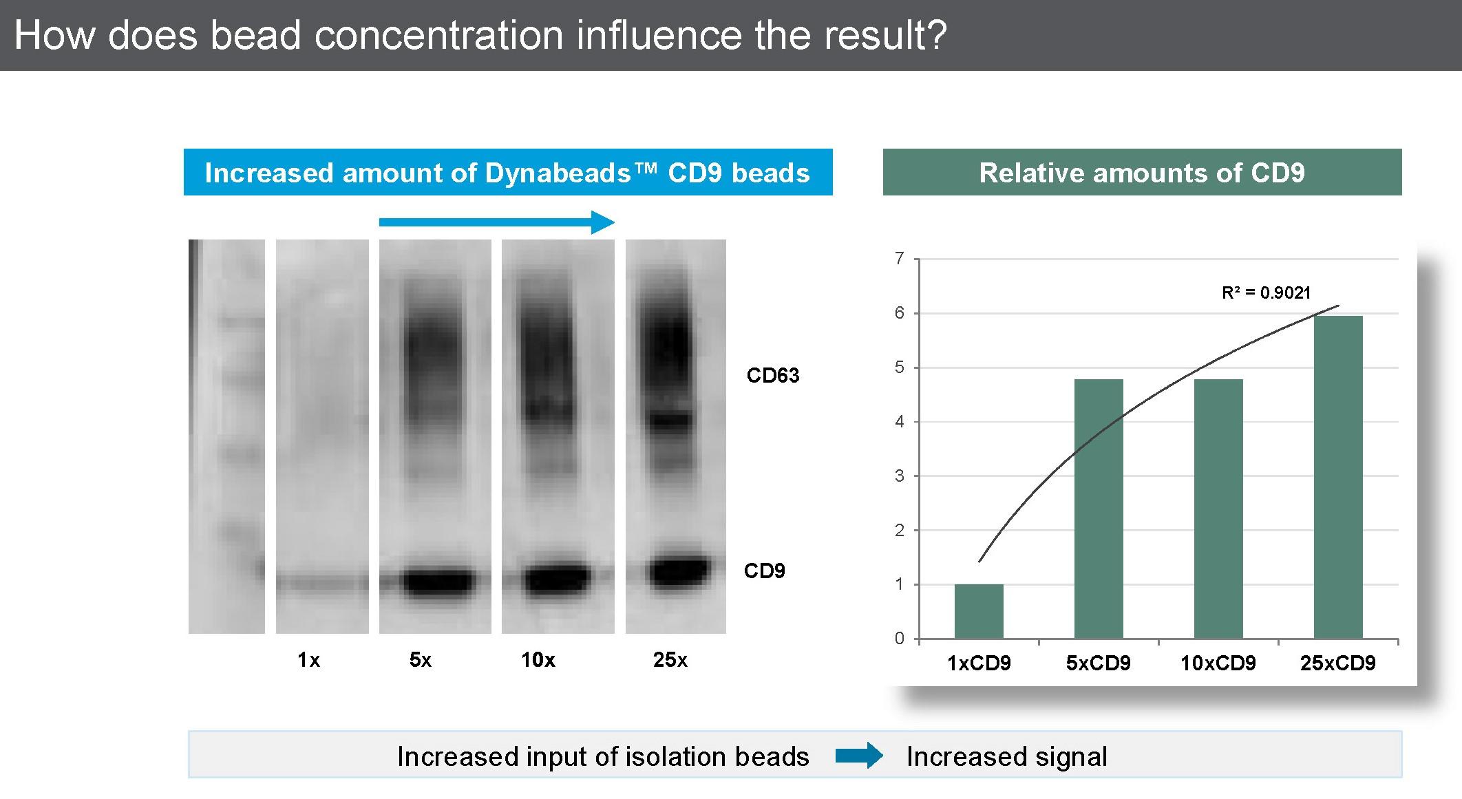 Dynabeads Exosome WB Compared.jpg