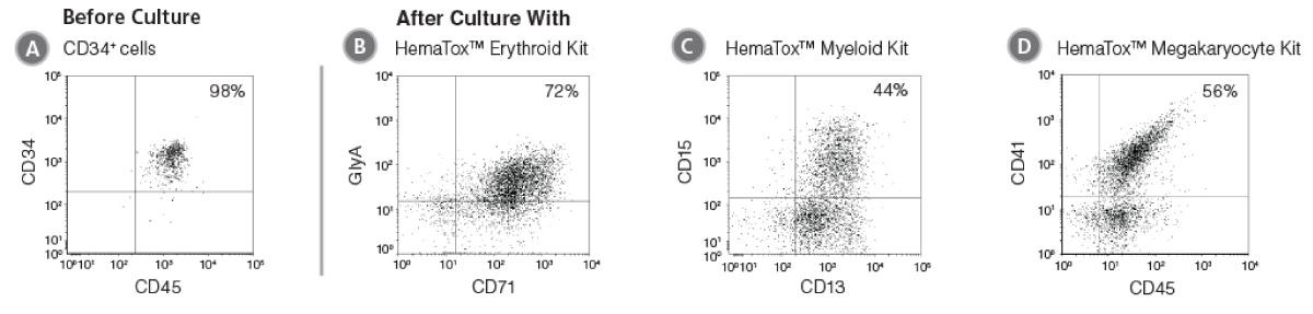 HemaTox06191210.jpg