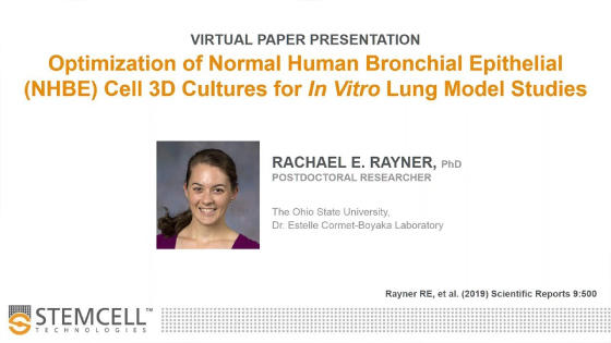 OptimizationofNormalHumanBronchialEpithelialCell3DCulturesforInVitroLungModelStudies.jpg