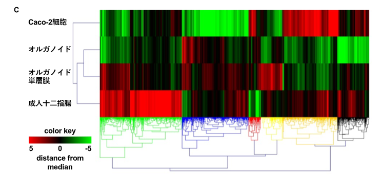 Researchers32-Fig3-C.png