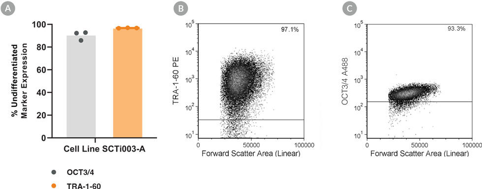 ST-200-0511-fig5.jpg