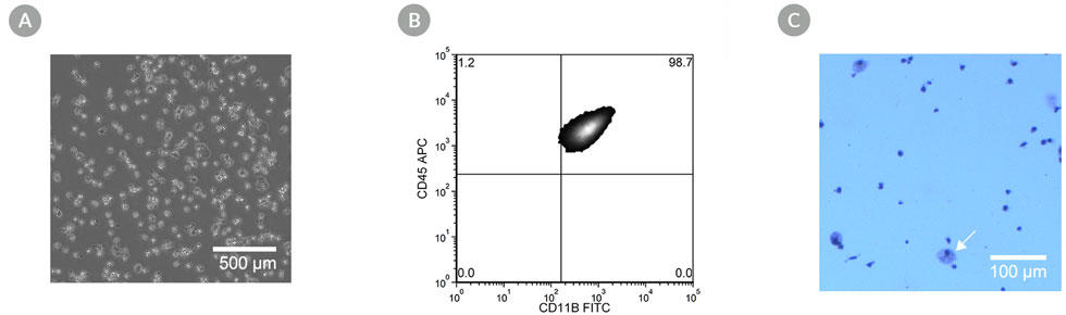 ST-200-0511-fig8.jpg