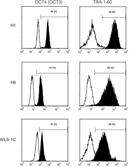 ST-85850_Undifferentiated_Cell_ markers.jpg