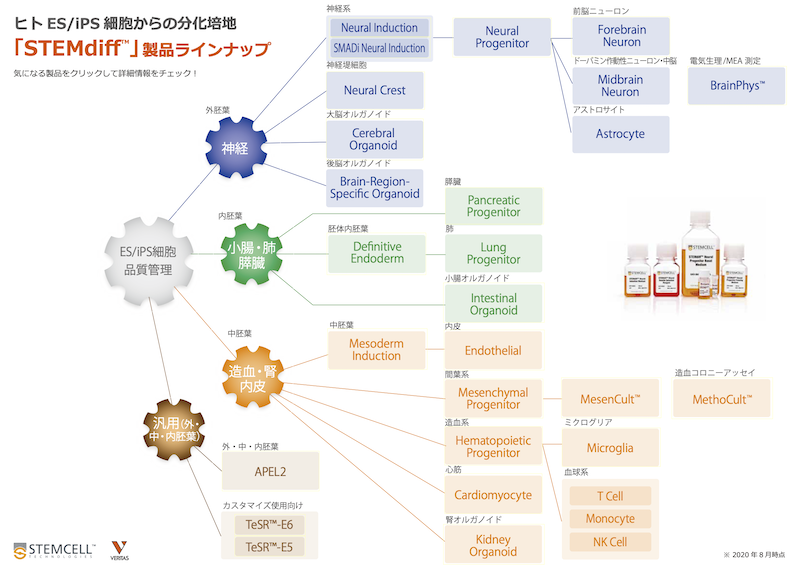 STEMdiff Flowchart_200928_thumbnail.png