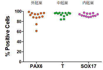 STEMdiff_Trilineage_Differentiation_Highly_Reproducible.jpg