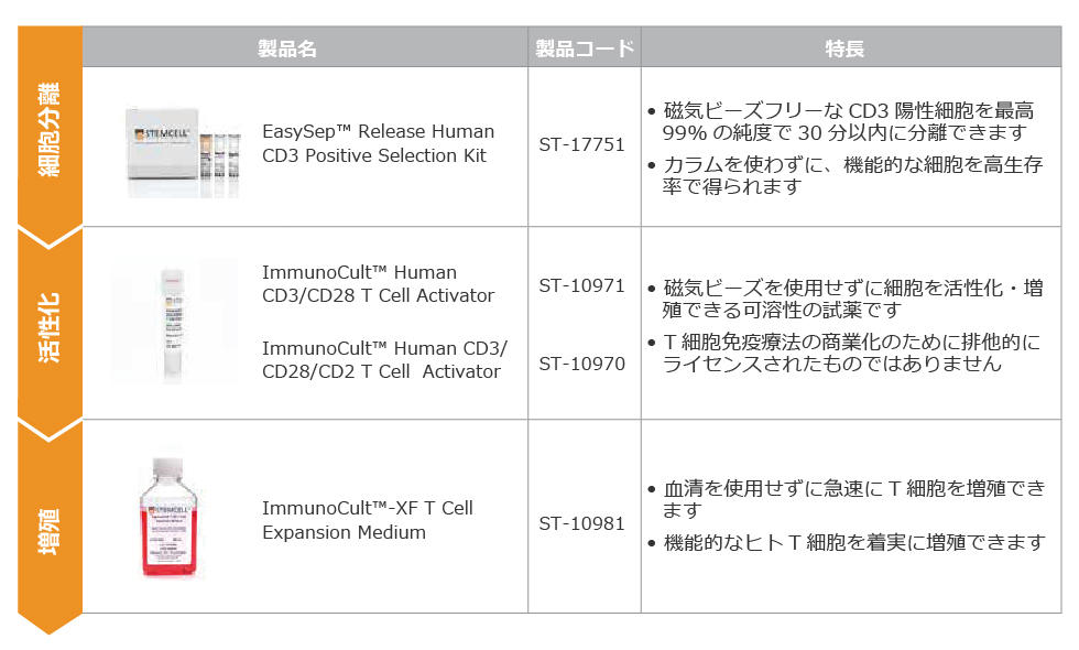 ヒトT細胞増殖プロトコールの最適化：増殖初期での細胞希釈の効果について4-1.jpg