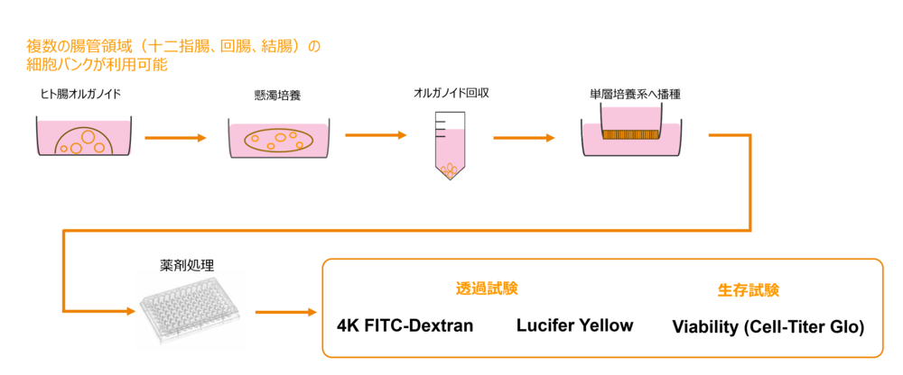 contract-assay-workflow.png