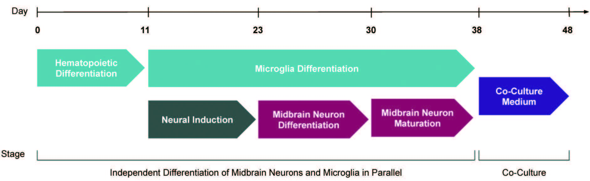 mid_micro_poster.jpg