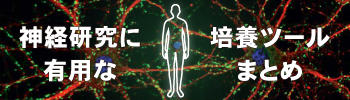 neurological_sitebanner03.jpg