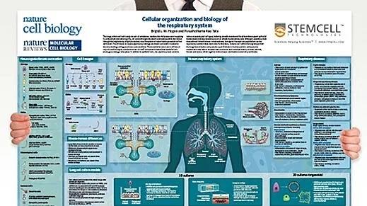 respiratory_poster.jpg